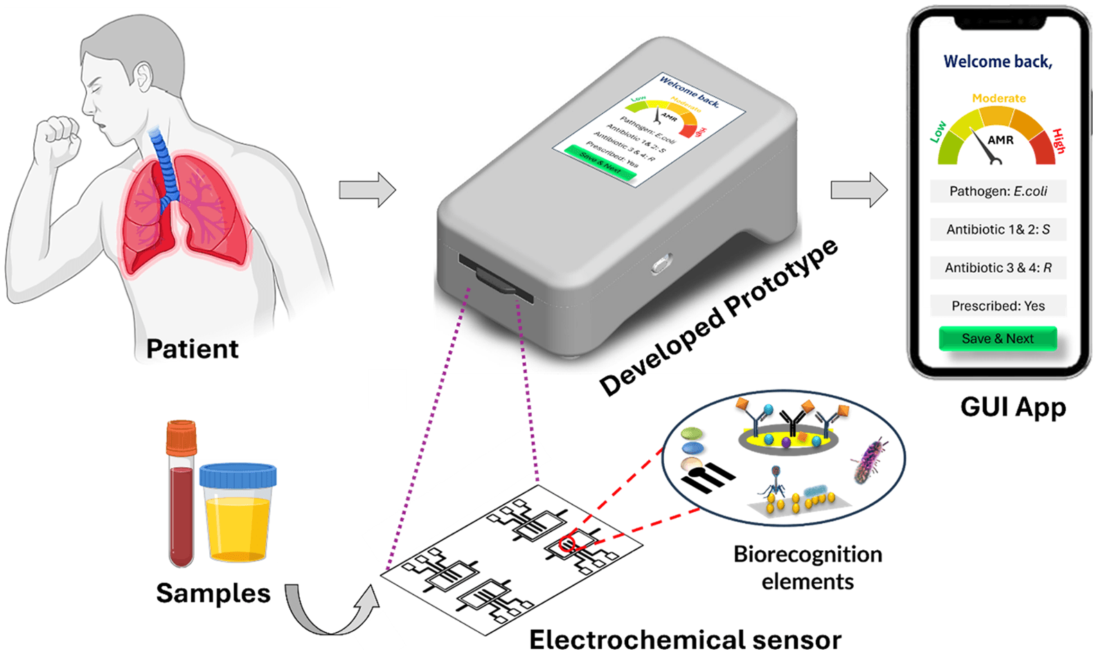 Bacteria-on-Chip