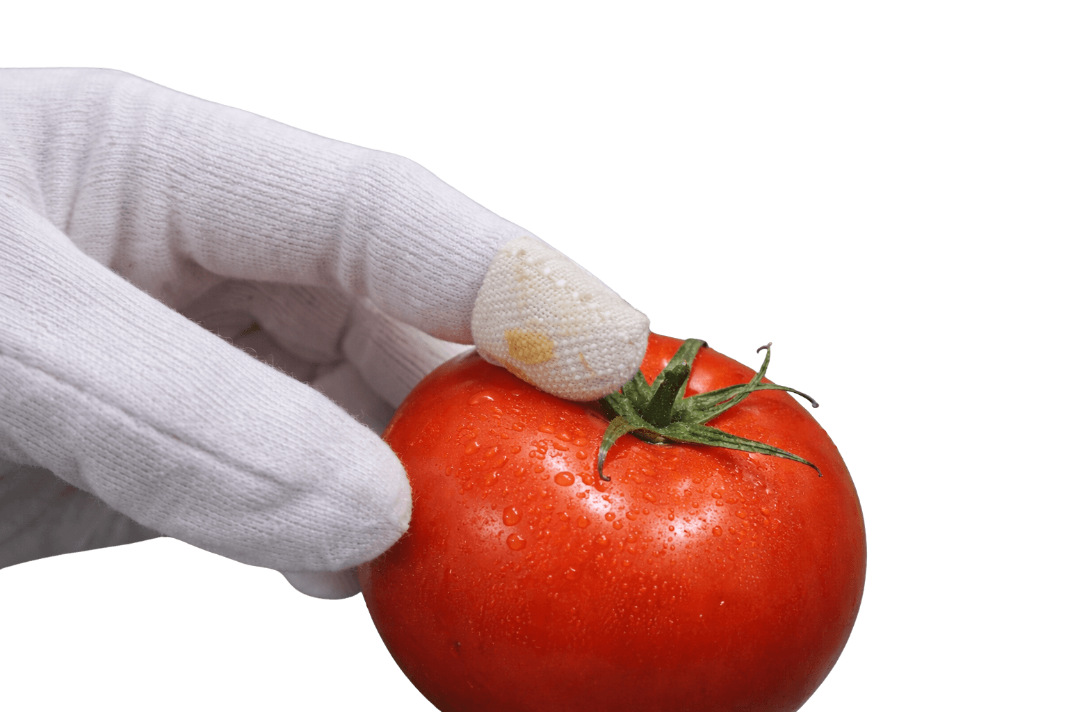 Lab-on-Glove