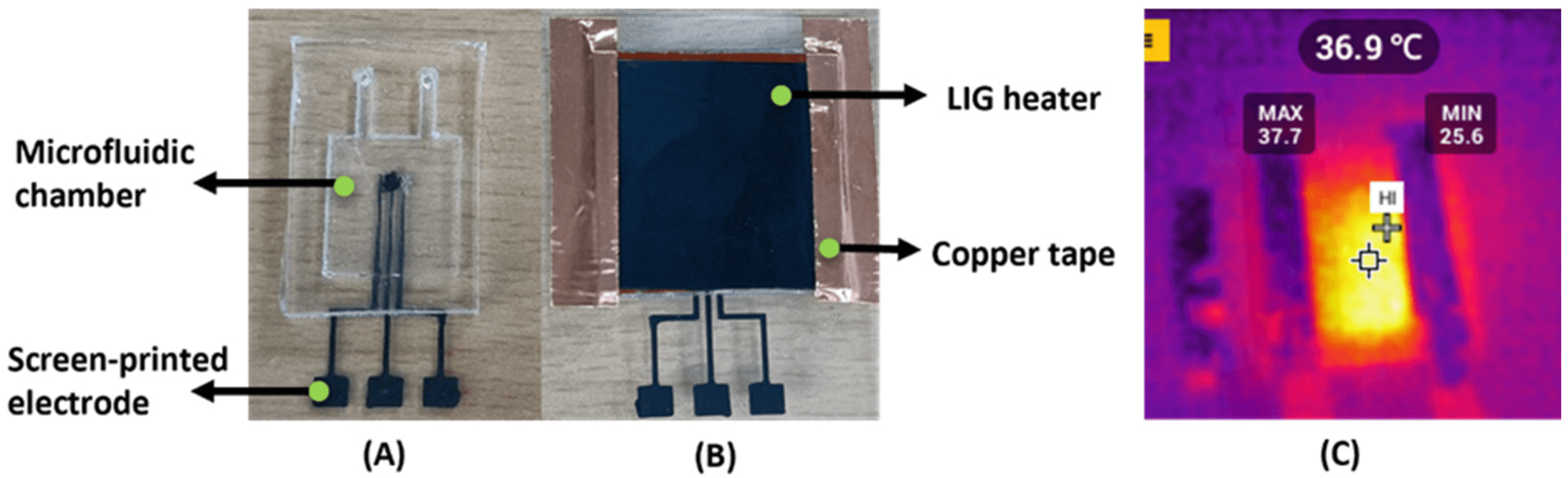 Rapid Electromicrofluidic Antibiotic Susceptibility Testing