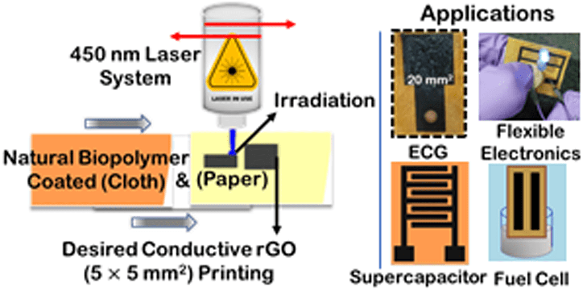 Biopolymer-Assisted Reduced Graphene Oxide