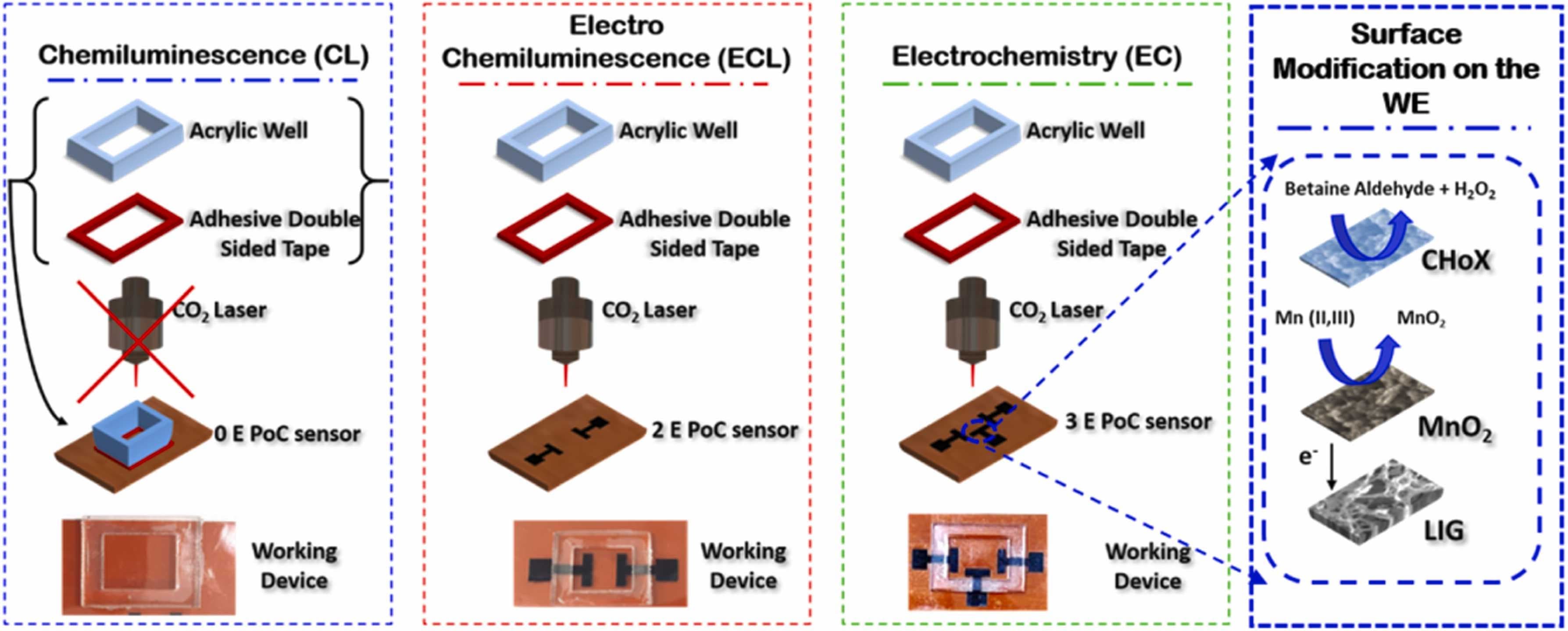 CL–ECL–EC Choline Platform
