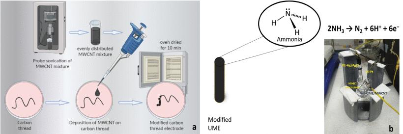 MWCNT Carbon-Thread Ammonia Sensor