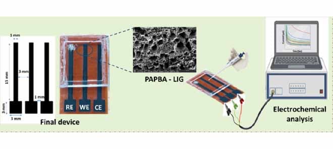 Flexible Laser-Induced Graphene Fluoride Sensor