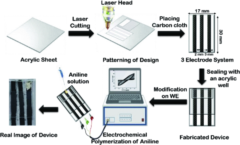 PANI-Functionalized Carbon-Cloth pH Sensor